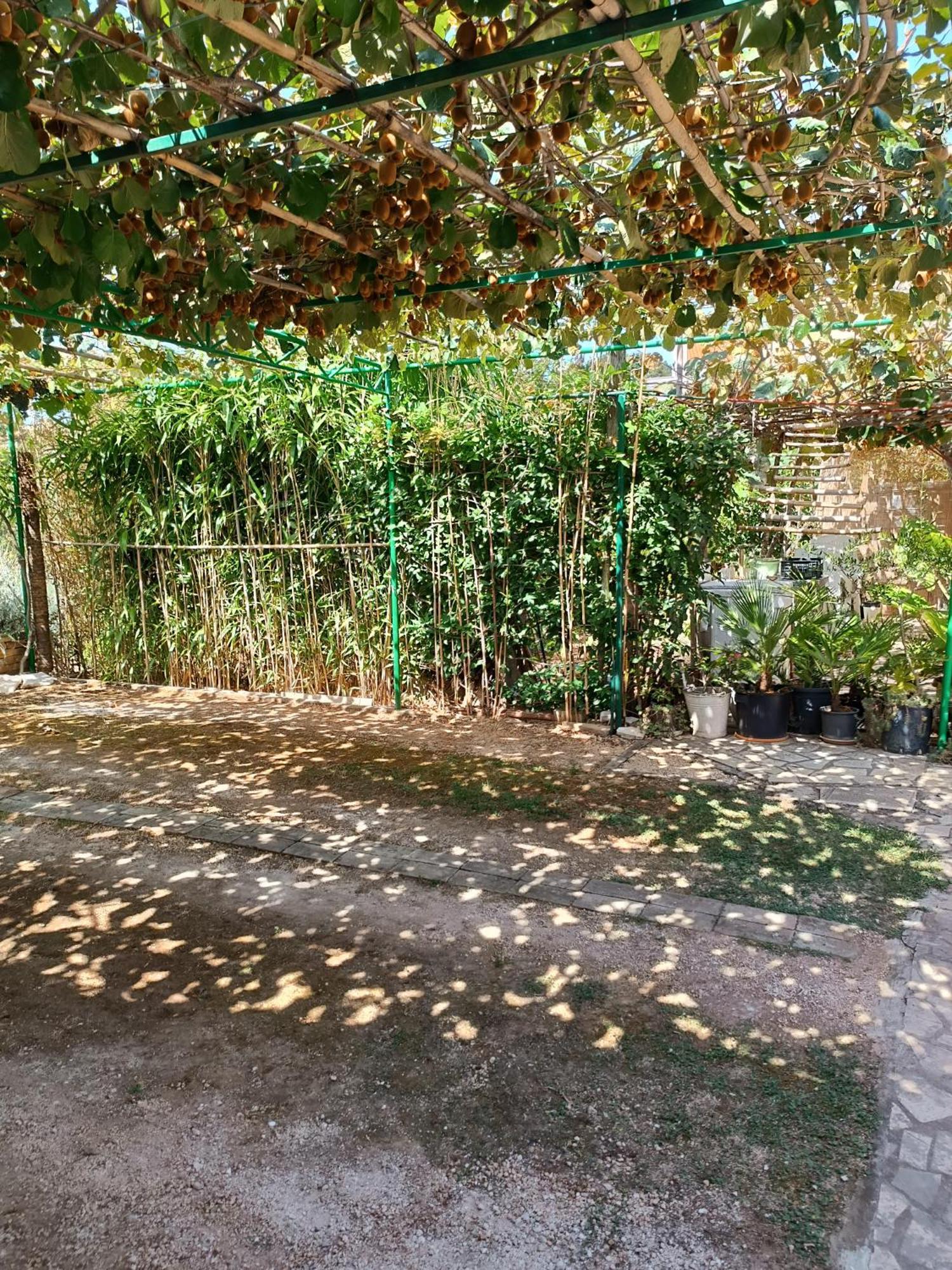 Levak Apartments - Apt. 2 Pjescana Uvala Εξωτερικό φωτογραφία